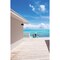 Access Lighting Tortuga, Outdoor LED Turtle Friendly Wall Mount, Bronze Finish, Frosted TL-20365LEDDMG-BRZ/FST - alternate 4